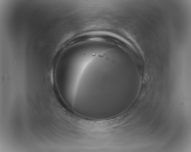X0000067930019200604131435