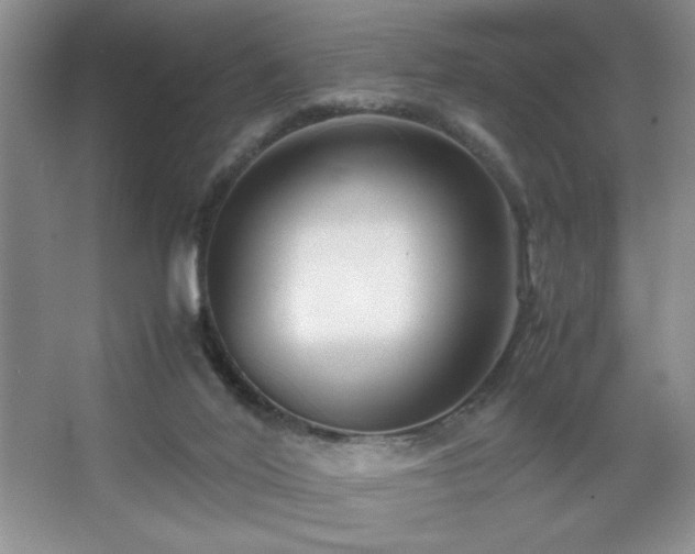 X0000067930020200604131435