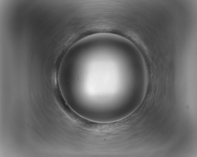 X0000067930021200604131435