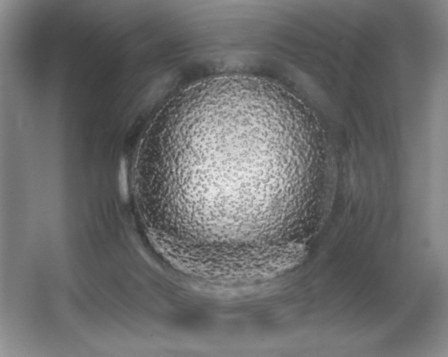 X0000067930022200604131435