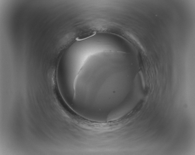 X0000067930023200604131434