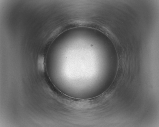 X0000067930024200604131434