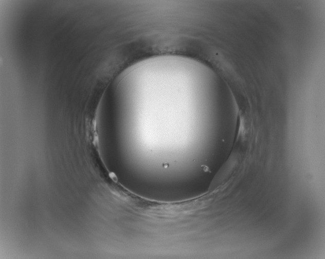 X0000067930025200604131434