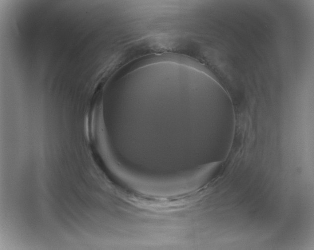 X0000067930027200604131434