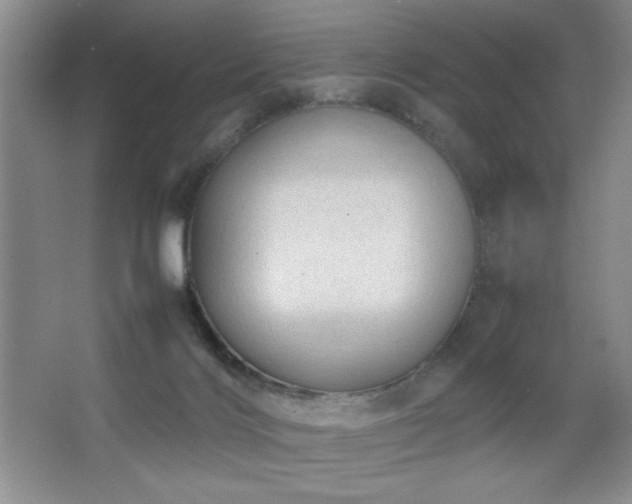 X0000067930028200604131434