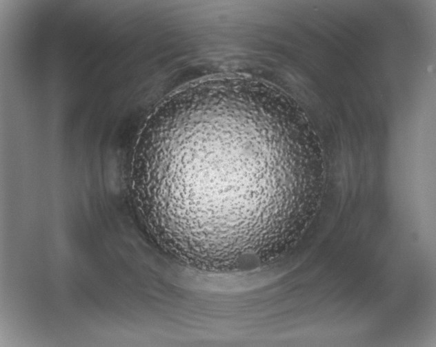 X0000067930030200604131434