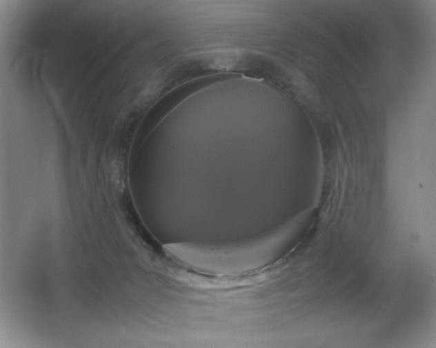 X0000067930031200604131434