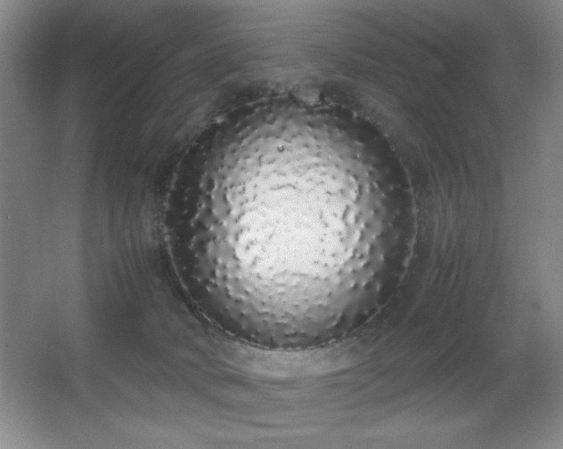 X0000067930034200604131434