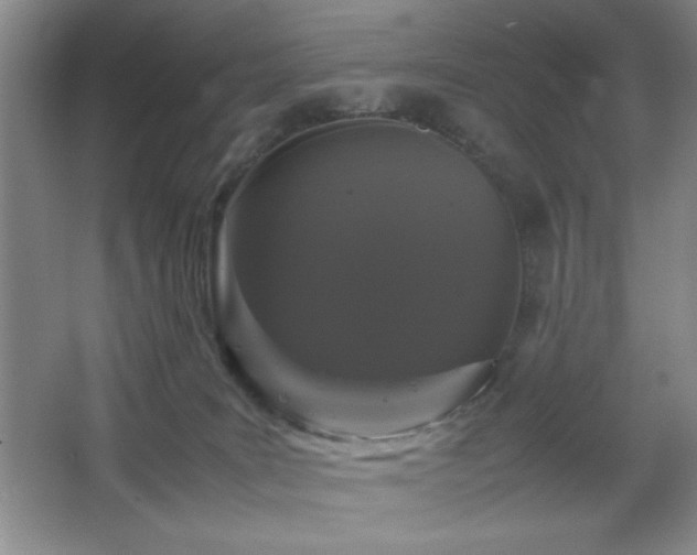 X0000067930035200604131434