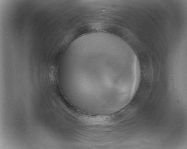 X0000067930036200604131434