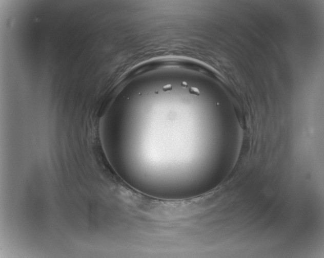 X0000067930037200604131434