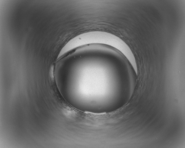 X0000067930041200604131434