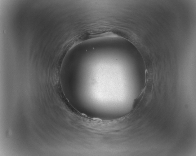 X0000067930043200604131434