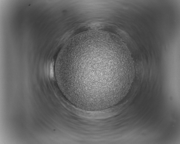 X0000067930046200604131434