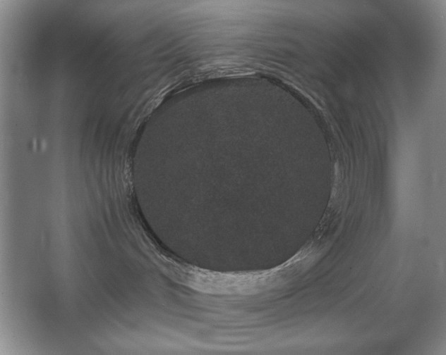 X0000067930048200604131434