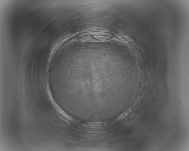 X0000067930049200604131433