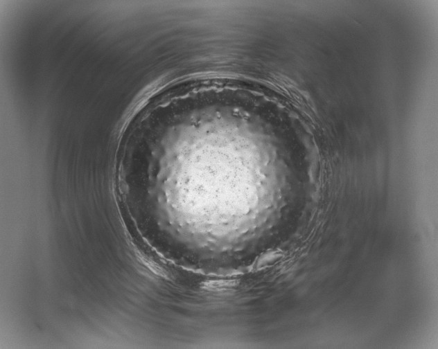 X0000067930051200604131433