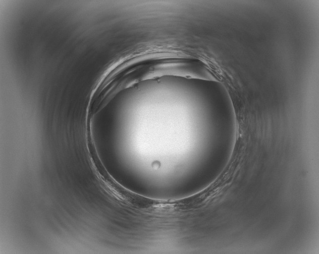 X0000067930052200604131433