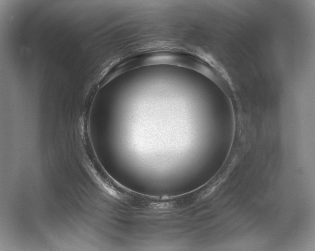 X0000067930057200604131433
