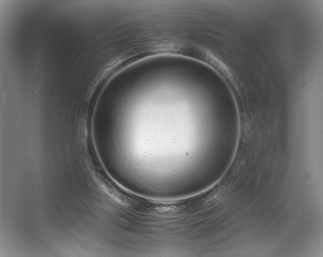 X0000067930059200604131433
