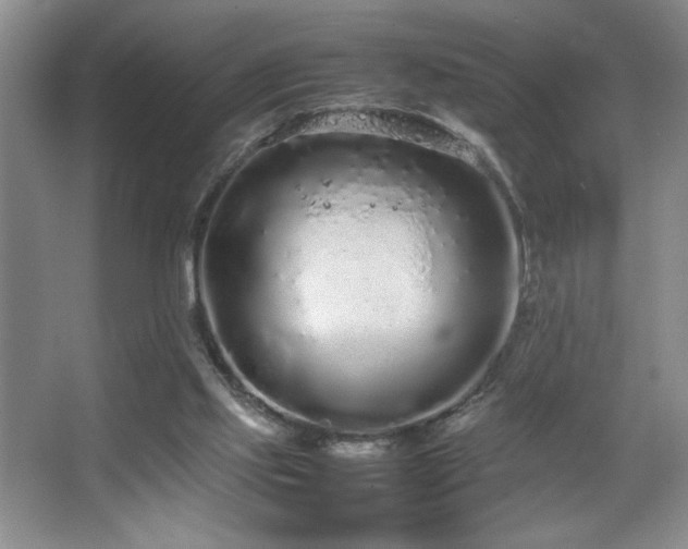 X0000067930061200604131433