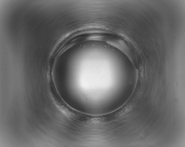 X0000067930064200604131434