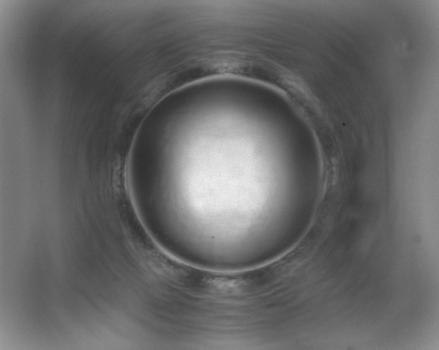 X0000067930073200604131434