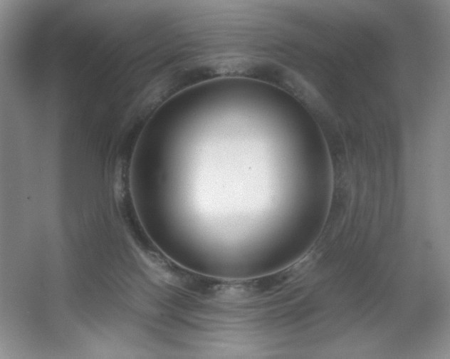 X0000067930074200604131434