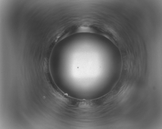 X0000067930077200604131434