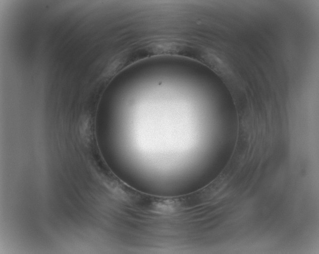 X0000067930079200604131434