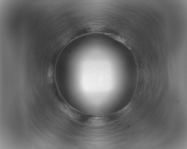X0000067930082200604131434