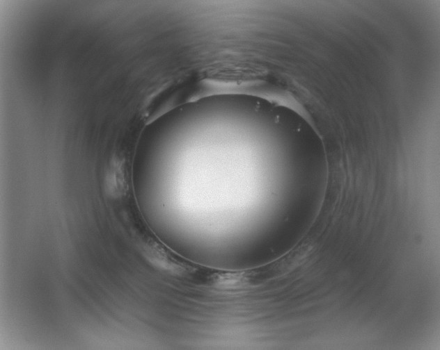 X0000067930088200604131434