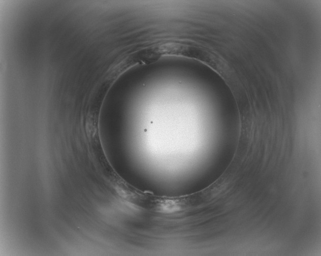 X0000067930091200604131434