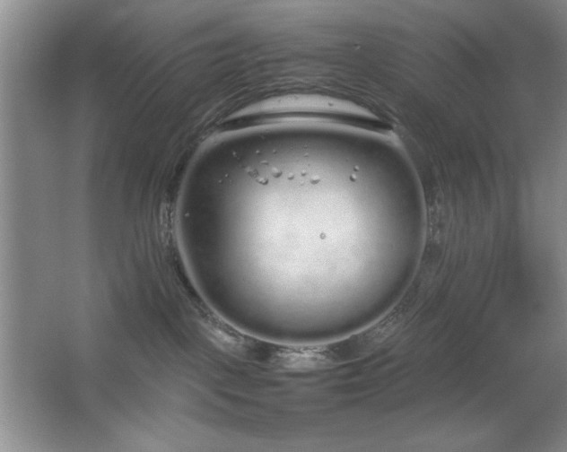 X0000067930093200604131434