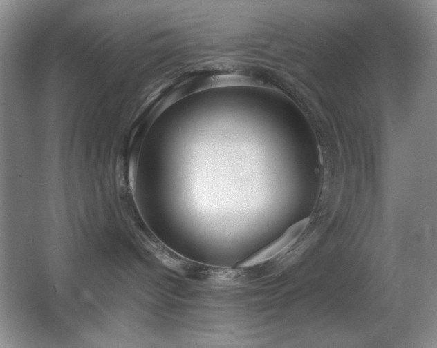X0000067930096200604131434