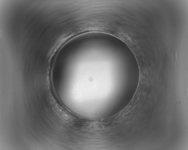 X0000067930098200604131433