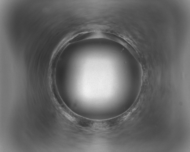 X0000067930101200604131433