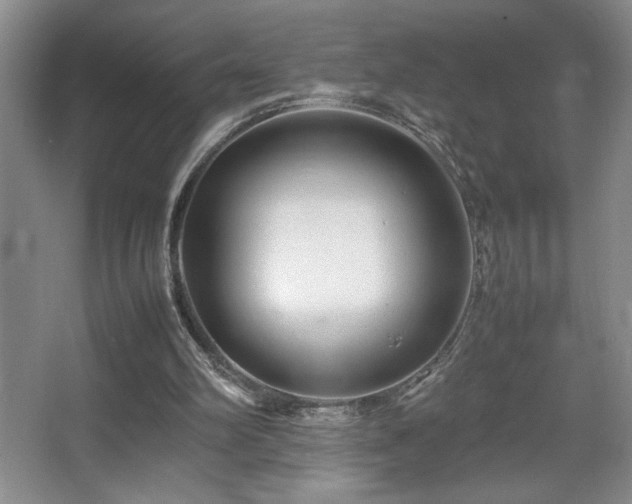 X0000067930102200604131433