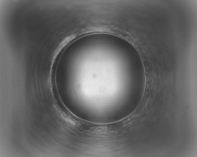X0000067930104200604131433