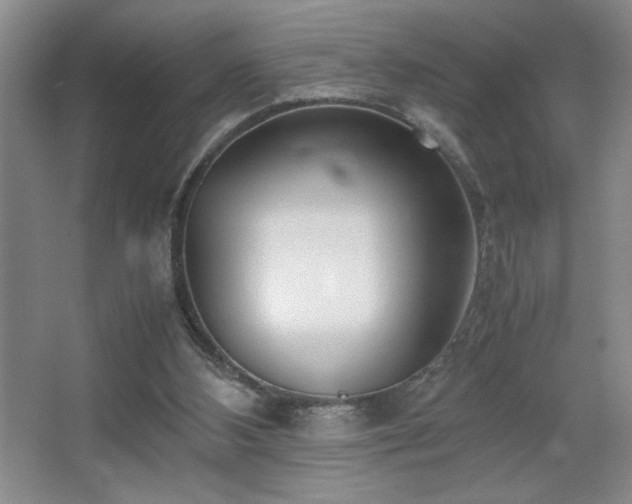 X0000067930108200604131433