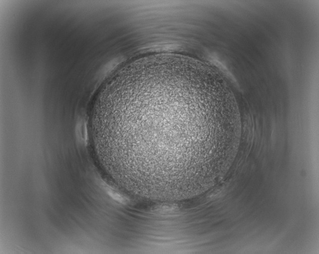 X0000067930110200604131433
