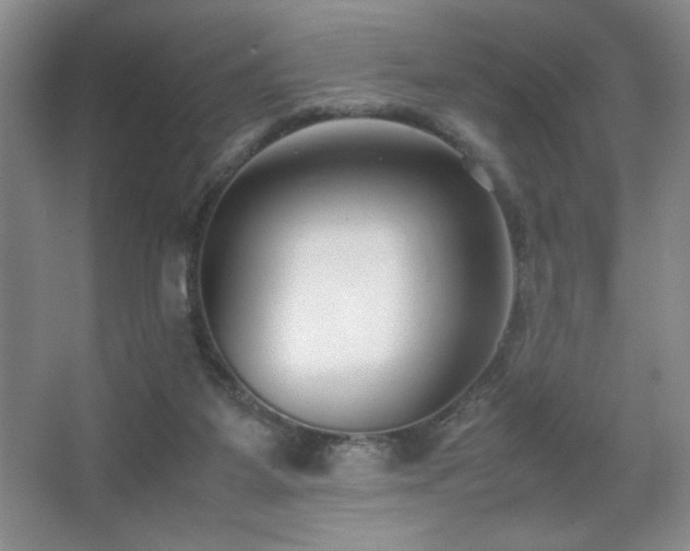 X0000067930115200604131433