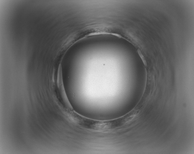 X0000067930117200604131433