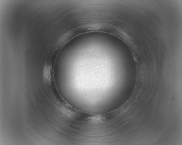 X0000067930118200604131433