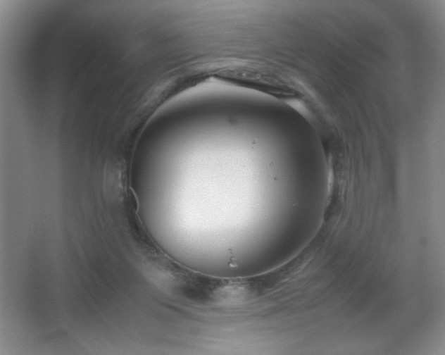 X0000067930119200604131433