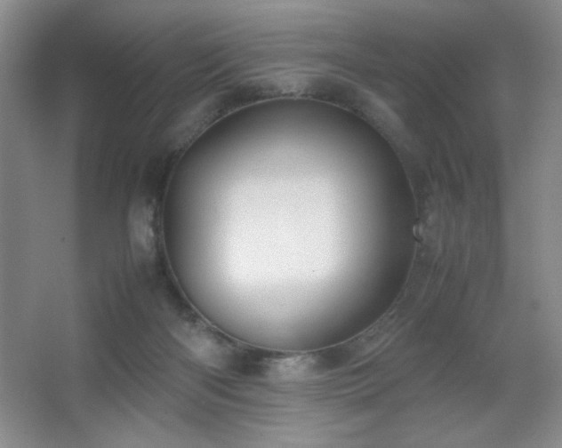 X0000067930122200604131433