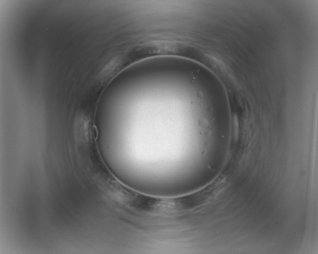 X0000067930123200604131433