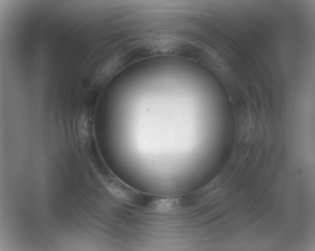 X0000067930126200604131432