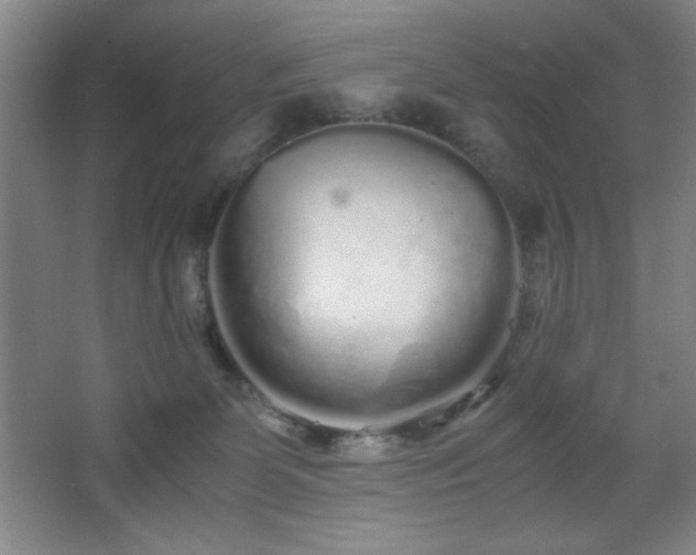 X0000067930131200604131432