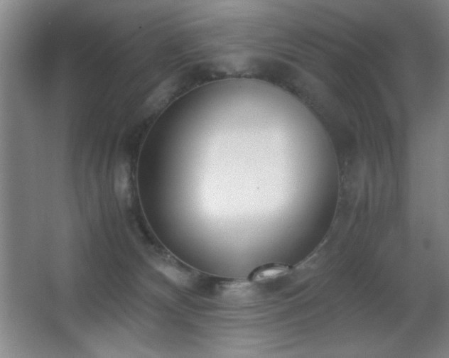 X0000067930132200604131432